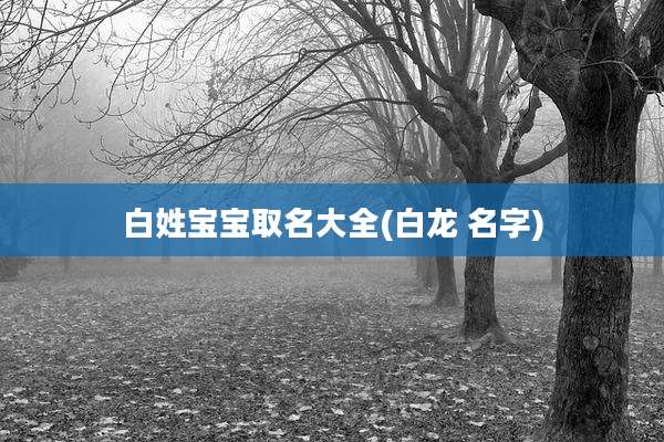 白姓宝宝取名大全(白龙 名字)
