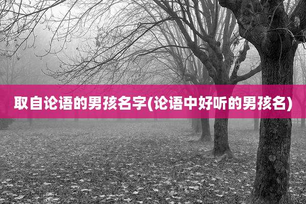 取自论语的男孩名字(论语中好听的男孩名)
