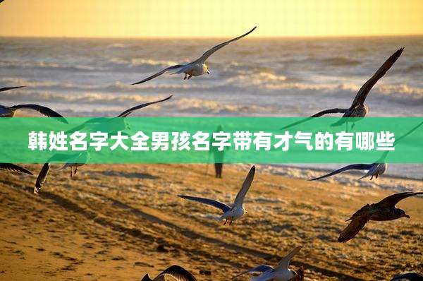 韩姓名字大全男孩名字带有才气的有哪些