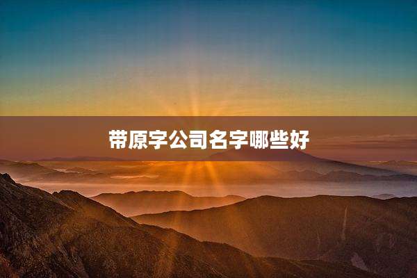 带原字公司名字哪些好
