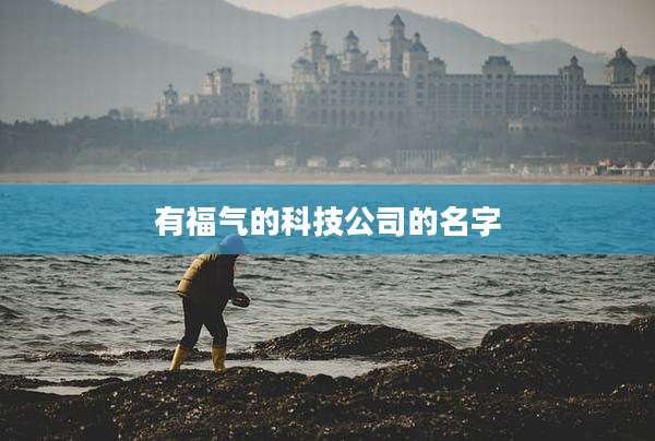 有福气的科技公司的名字
