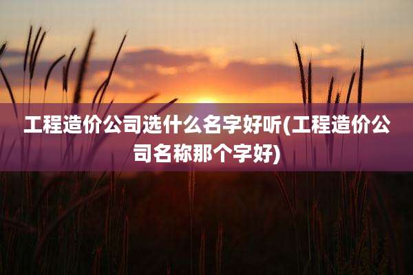 工程造价公司选什么名字好听(工程造价公司名称那个字好)