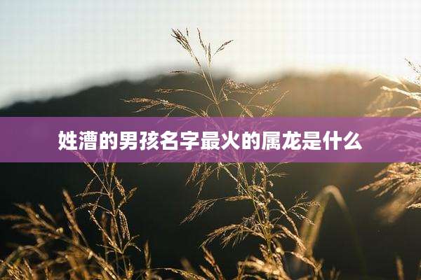 姓漕的男孩名字最火的属龙是什么