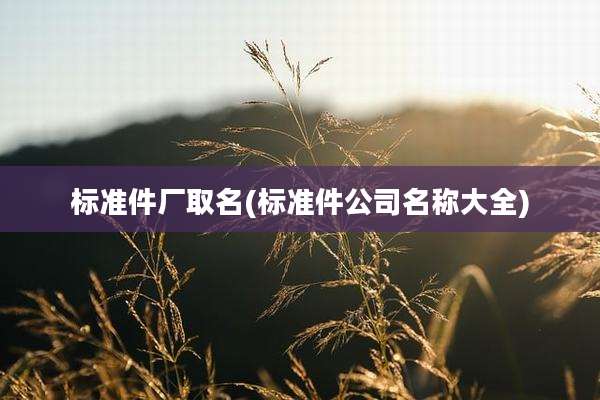 标准件厂取名(标准件公司名称大全)