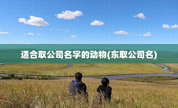 适合取公司名字的动物(东取公司名)