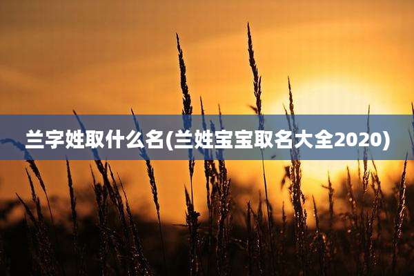 兰字姓取什么名(兰姓宝宝取名大全2020)