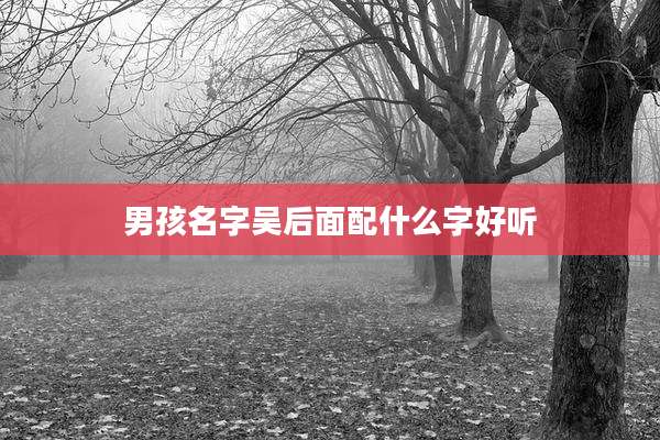 男孩名字吴后面配什么字好听