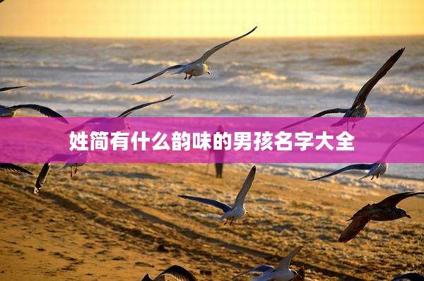 姓简有什么韵味的男孩名字大全