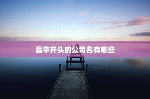 赢字开头的公司名有哪些