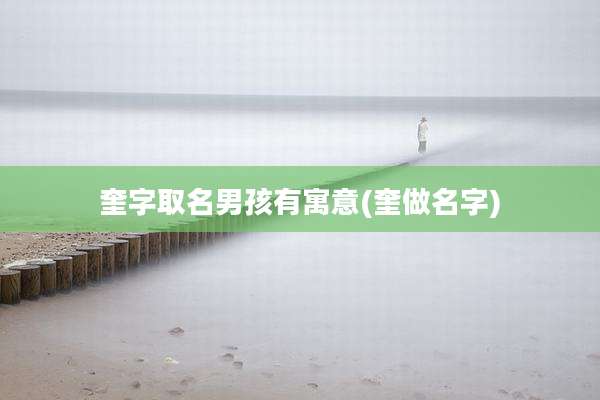 奎字取名男孩有寓意(奎做名字)