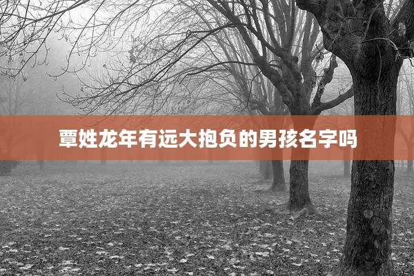 覃姓龙年有远大抱负的男孩名字吗
