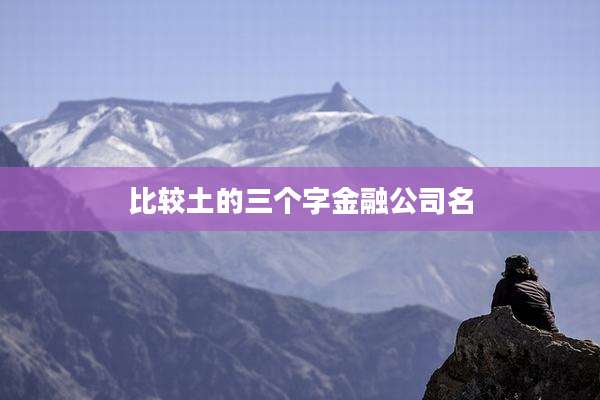 比较土的三个字金融公司名