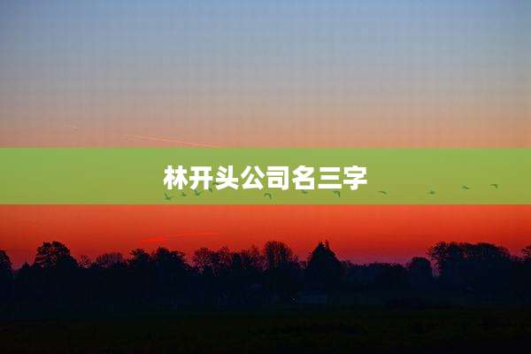 林开头公司名三字