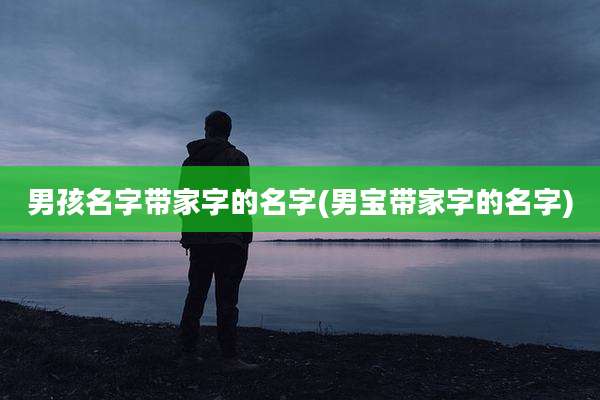 男孩名字带家字的名字(男宝带家字的名字)