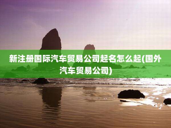 新注册国际汽车贸易公司起名怎么起(国外汽车贸易公司)