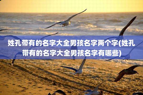 姓孔带有的名字大全男孩名字两个字(姓孔带有的名字大全男孩名字有哪些)
