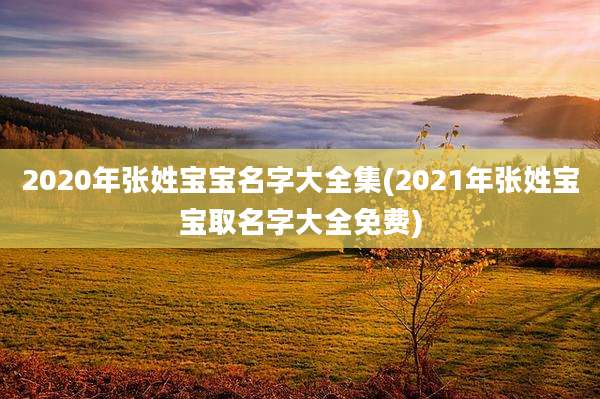 2020年张姓宝宝名字大全集(2021年张姓宝宝取名字大全免费)