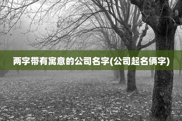 两字带有寓意的公司名字(公司起名俩字)