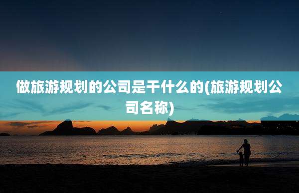 做旅游规划的公司是干什么的(旅游规划公司名称)