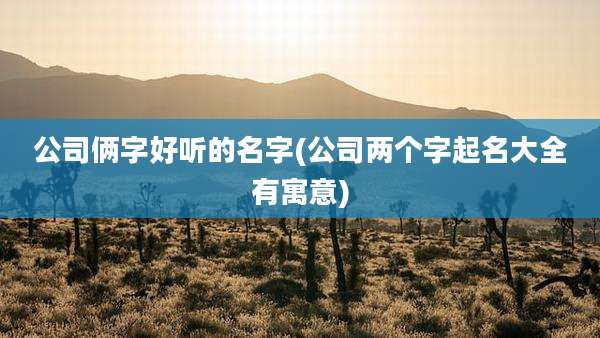 公司俩字好听的名字(公司两个字起名大全有寓意)