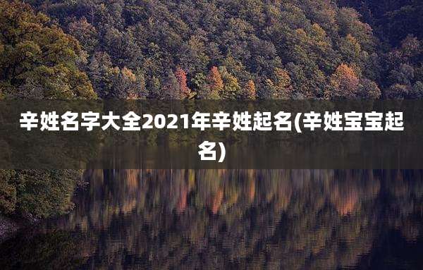 辛姓名字大全2021年辛姓起名(辛姓宝宝起名)
