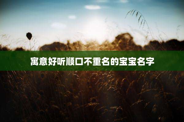 寓意好听顺口不重名的宝宝名字