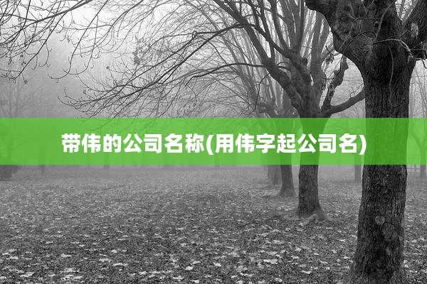 带伟的公司名称(用伟字起公司名)
