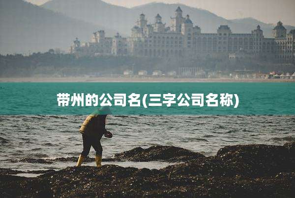 带州的公司名(三字公司名称)