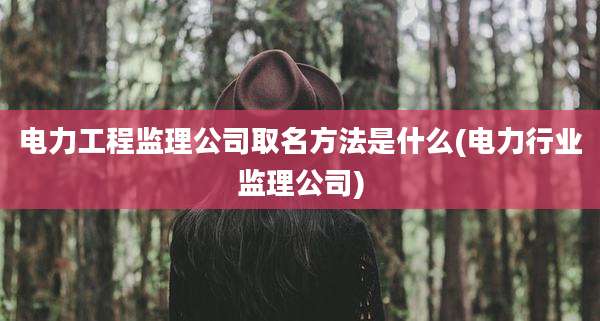 电力工程监理公司取名方法是什么(电力行业监理公司)