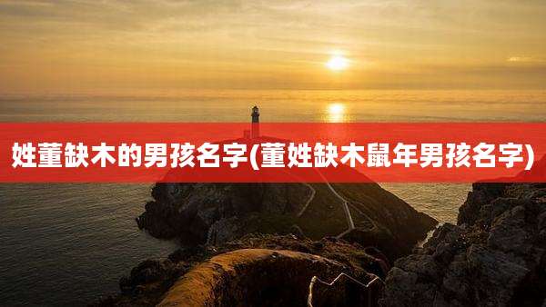 姓董缺木的男孩名字(董姓缺木鼠年男孩名字)