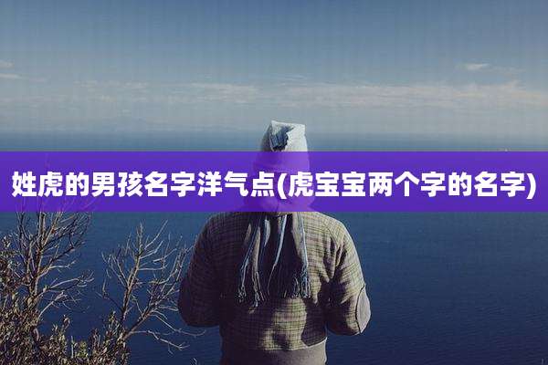 姓虎的男孩名字洋气点(虎宝宝两个字的名字)