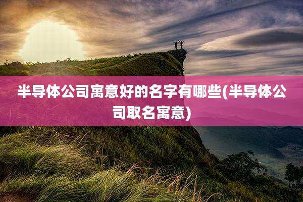 半导体公司寓意好的名字有哪些(半导体公司取名寓意)
