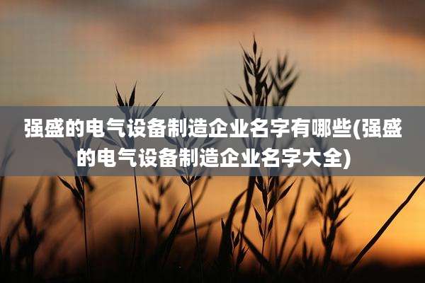 强盛的电气设备制造企业名字有哪些(强盛的电气设备制造企业名字大全)