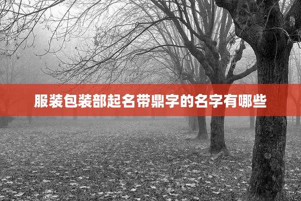 服装包装部起名带鼎字的名字有哪些