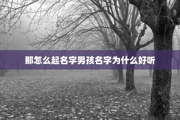 那怎么起名字男孩名字为什么好听