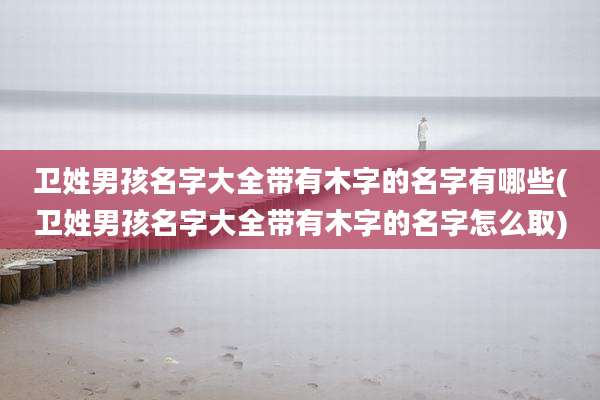 卫姓男孩名字大全带有木字的名字有哪些(卫姓男孩名字大全带有木字的名字怎么取)