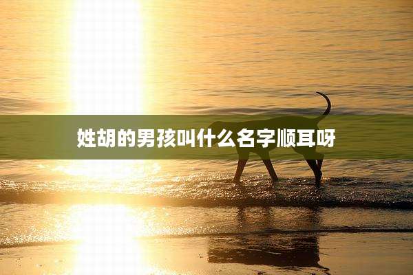姓胡的男孩叫什么名字顺耳呀