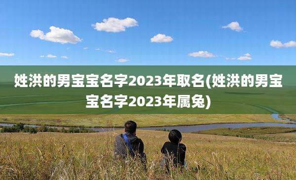 姓洪的男宝宝名字2023年取名(姓洪的男宝宝名字2023年属兔)