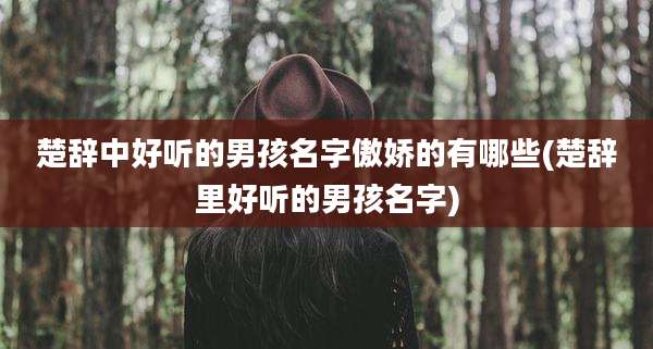 楚辞中好听的男孩名字傲娇的有哪些(楚辞里好听的男孩名字)