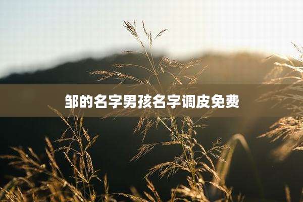 邹的名字男孩名字调皮免费
