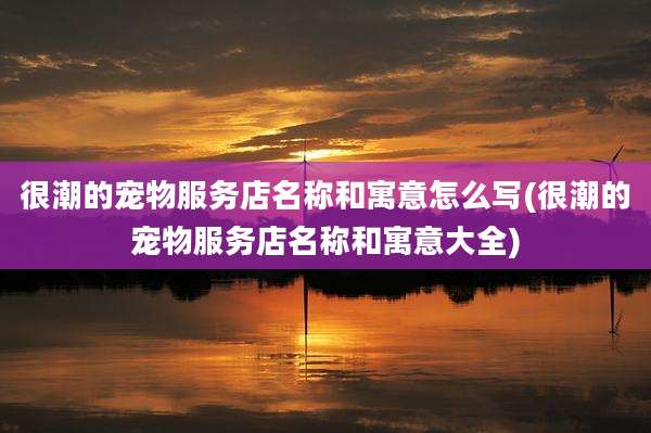 很潮的宠物服务店名称和寓意怎么写(很潮的宠物服务店名称和寓意大全)