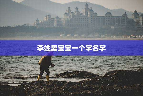 李姓男宝宝一个字名字