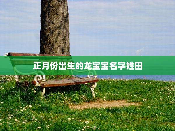 正月份出生的龙宝宝名字姓田