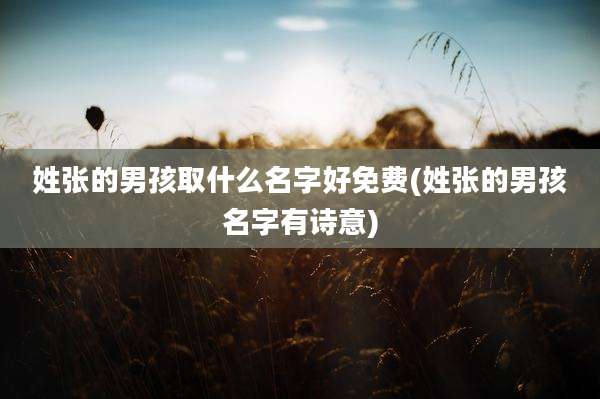 姓张的男孩取什么名字好免费(姓张的男孩名字有诗意)