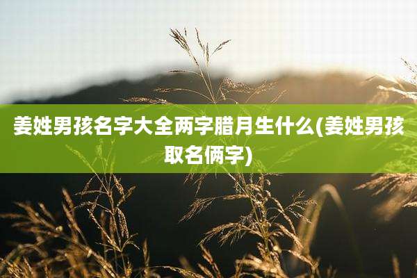 姜姓男孩名字大全两字腊月生什么(姜姓男孩取名俩字)
