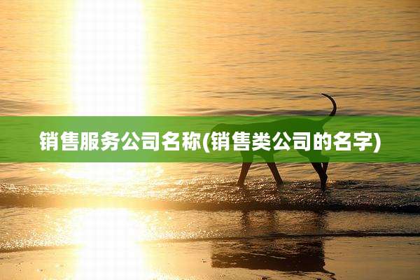 销售服务公司名称(销售类公司的名字)
