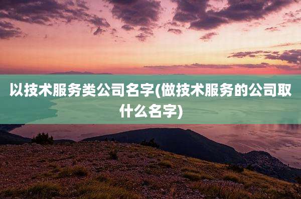以技术服务类公司名字(做技术服务的公司取什么名字)