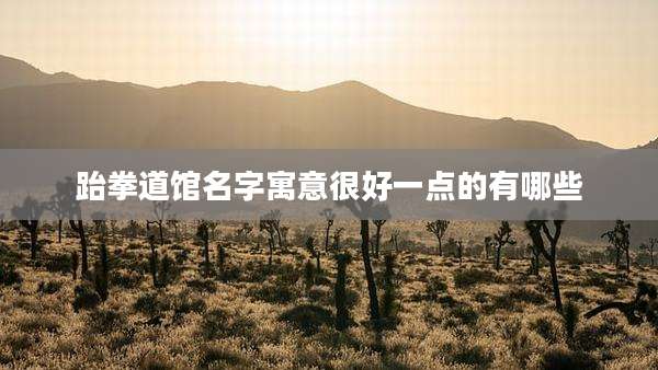 跆拳道馆名字寓意很好一点的有哪些