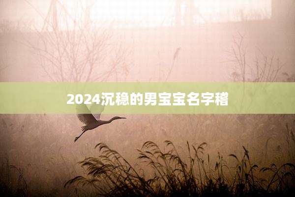 2024沉稳的男宝宝名字稽