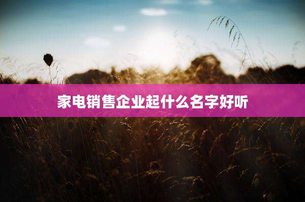 家电销售企业起什么名字好听